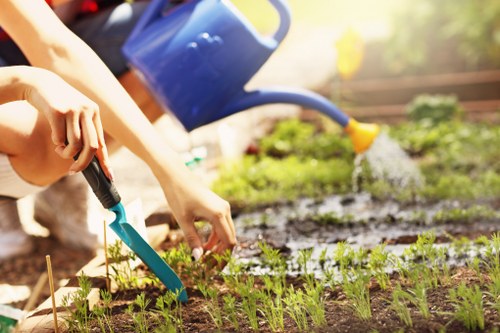 Website cookie policy introduction for Landscapers Uxbridge