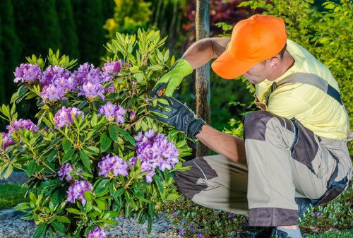 Gardener trimming a hedge with professional tools in a Uxbridge garden