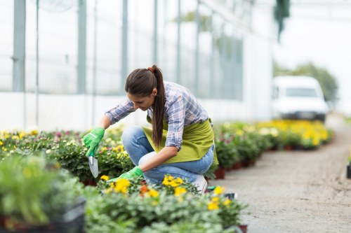 A woman wearing a plaid shirt, blue jeans, and green gardening gloves is crouched down in a garden bed, carefully tending to small flowering plants with yellow blossoms. The garden features neatly arranged flower beds bordered by paving stones, with a well-maintained lawn in the foreground. Behind her, the outdoor space is part of a larger landscaped garden, possibly in a residential or commercial setting near Uxbridge, with a greenhouse structure and a white van visible in the background. The scene is set in natural daylight with soft, ambient weather conditions, highlighting the lush greenery, vibrant plant colours, and textured soil areas. This image visually reflects outdoor gardening activities and sustainable plant care practices, aligning with services provided by Landscapers Uxbridge focused on gardening, landscaping, and environmental sustainability.