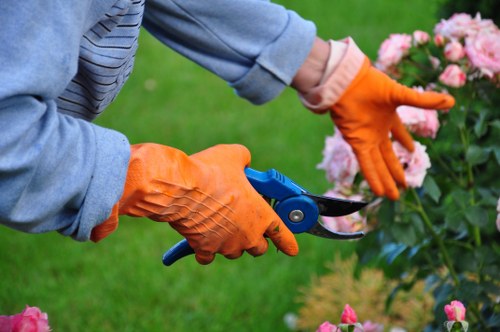 A gardener wearing orange rubber gloves is trimming pink flowering bushes in a well-maintained garden outdoors, with lush green grass and a variety of planted shrubs visible in the background. The garden features neatly edged flower beds, and the gardener is using specialized pruning scissors to carefully shape the plants. The scene takes place on a bright day with natural sunlight illuminating the foliage, creating vibrant colours and distinct textures, from the soft pink flowers to the rich green leaves and well-kept lawn. This outdoor space, likely part of a residential property or community garden in Uxbridge, demonstrates careful garden maintenance and horticultural care, aligning with local gardening and landscaping services provided by Landscapers Uxbridge, especially within the context of sustainable gardening practices displayed through meticulous trimming and plant upkeep.