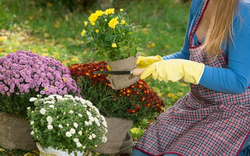 Low-maintenance flower bed installation beside a Uxbridge driveway
