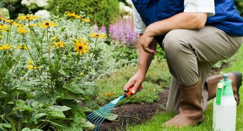 A gardener kneeling on a well-maintained lawn in a landscaped garden in Uxbridge, wearing a blue vest, beige trousers, and brown boots, appears to be tending to a flower bed. The flower bed is filled with vibrant, yellow, and purple flowers surrounded by rich, dark soil, neatly bordered by the grassy area. The background shows a variety of shrubs and trees, with the garden illuminated by natural daylight under a partly cloudy sky. A green garden sprayer is positioned nearby on the grass, indicating ongoing plant care activities. The garden features a combination of lush grass, flowering plants, and natural foliage, creating a tidy outdoor space suitable for gardening services like flower bed creation and lawn maintenance by Landscapers Uxbridge.