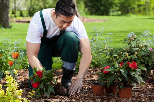 A gardener in casual clothing is kneeling on a landscaped lawn in a residential garden, planting vibrant red and green flowering plants into the soil bed. The garden features a well-maintained, lush green lawn with a dense background of trees and shrubs, including blooming flower beds with colorful plants. The scene is outdoors in bright, natural daylight, with lightly textured mulch covering the planting area to protect the roots and control weeds. The gardener appears focused on carefully positioning the plants, demonstrating outdoor gardening and landscaping skills suitable for enhancing UK gardens, such as those in Uxbridge, with plants that add natural colour and visual appeal. The environment suggests a peaceful, residential setting, with attention to detail in garden bed preparation, consistent with professional gardening services by Landscapers Uxbridge.