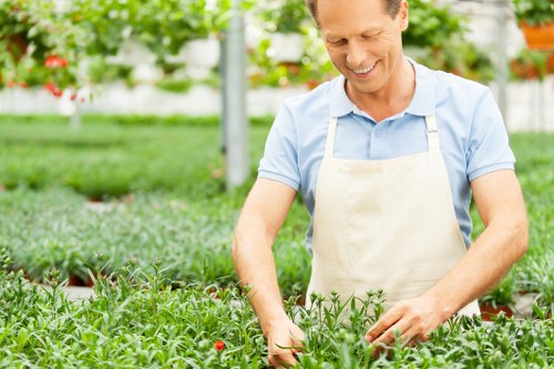 A smiling man wearing a light blue shirt and a beige apron is tending to a lush, green garden with healthy, dense grass and low-growing plants. The background reveals a well-maintained outdoor space with neatly arranged flower beds, a mix of colourful flowers and small shrubs, set against a backdrop of trees and what appears to be a greenhouse structure, suggesting it is a productive horticultural environment. The garden surface includes a combination of paved pathways and soft soil areas, indicative of regular landscaping and lawn care. The lighting suggests a bright, possibly sunny day, with natural light illuminating the garden and highlighting the vibrant green tones of the plants. The scene exemplifies professional gardening services, with attention to detail in maintaining plant health and garden layout, relevant to landscaping and outdoor maintenance practices in Uxbridge or nearby areas.