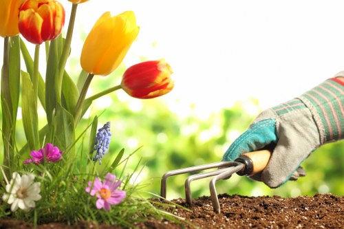 A close-up image of a gardener's hand wearing a gardening glove, using a hand cultivator to aerate or loosen dark, moist soil in a garden bed. To the left, there are vibrant flowering plants including yellow, orange, and red tulips, alongside smaller pink, purple, and white flowers, with green foliage and stems. The background is bright and slightly blurred, suggesting a sunny outdoor setting with lush green foliage and possibly a garden hedge or trees. The scene depicts well-maintained gardening work in a typical outdoor space, with the soil ready for planting or weed management, reflecting professional gardening and landscaping services often provided by companies such as Landscapers Uxbridge in nearby areas.