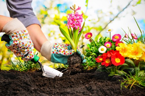 A gardener's hands, protected by colourful patterned gloves, are planting a pink hyacinth in rich, dark soil within a well-maintained garden. Surrounding the planting area are vibrant flower beds featuring primroses, daisies, and marigolds in bright shades of yellow, red, pink, and white, creating a lively contrast against the lush green foliage and grass. The background showcases a clear blue sky with soft sunlight illuminating the scene, highlighting the freshly turned soil and healthy plant growth. The garden environment appears to be part of a landscaped outdoor space, possibly offering lawn care and gardening services from Landscapers Uxbridge, with a focus on horticultural detail and outdoor maintenance suitable for local gardens around Uxbridge, Middlesex.