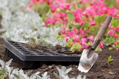 A gardening scene in a landscaped outdoor space, featuring a close-up view of freshly turned dark soil with small, bright green seedlings beginning to sprout. A black plastic seed tray rests on the soil, partially filled with soil and small plants. In the foreground, a small hand trowel with a wooden handle and metal blade is inserted into the soil, suggesting active planting or soil preparation. The background displays a border of vibrant pink and white flowering plants, possibly begonias or similar bedding flowers, providing a splash of colour and visual contrast to the lush green foliage. The overall environment appears well-maintained, indicating professional gardening or landscaping services, such as those offered by Landscapers Uxbridge, in a tidy garden space that could be part of a front or back garden in Uxbridge, Middlesex. The scene is illuminated by soft natural light, likely during a mild weather day, highlighting the texture of the soil, plants, and gardening tools, emphasizing ongoing outdoor horticultural work.