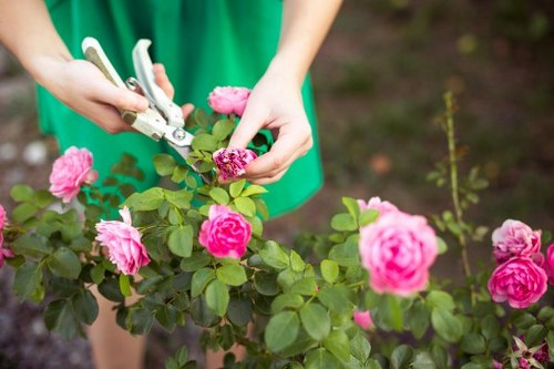 Eco-friendly pest management in Uxbridge garden