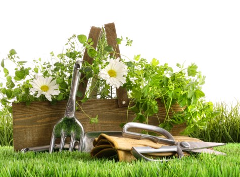 Community-focused landscaping project by Premier Landscapers Uxbridge