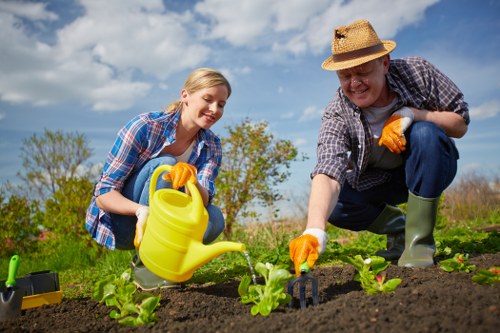 Professional gardener maintaining a green hedge in spring