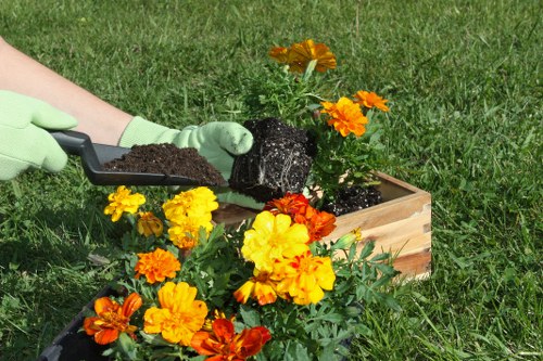 In a well-maintained garden featuring a lush green lawn, a person wearing light green gardening gloves is depicted digging soil with a small trowel into a wooden planter box. The planter contains vibrant orange and yellow marigolds in full bloom, adding bright, natural colour contrast against the greenery. The garden environment appears sunny with natural daylight illuminating the scene, emphasizing the healthy, dense grass and the rich soil. The background shows neatly trimmed grass extending beyond the planter, indicating a landscaped outdoor space typical of residential gardens in Uxbridge. The overall scene illustrates a gardening activity, reflective of professional or amateur landscape maintenance associated with gardening services such as those offered by Landscapers Uxbridge, supporting local landscaping and outdoor maintenance needs.