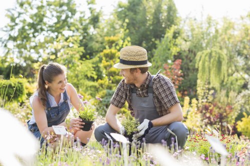 Spring garden preparation with planting